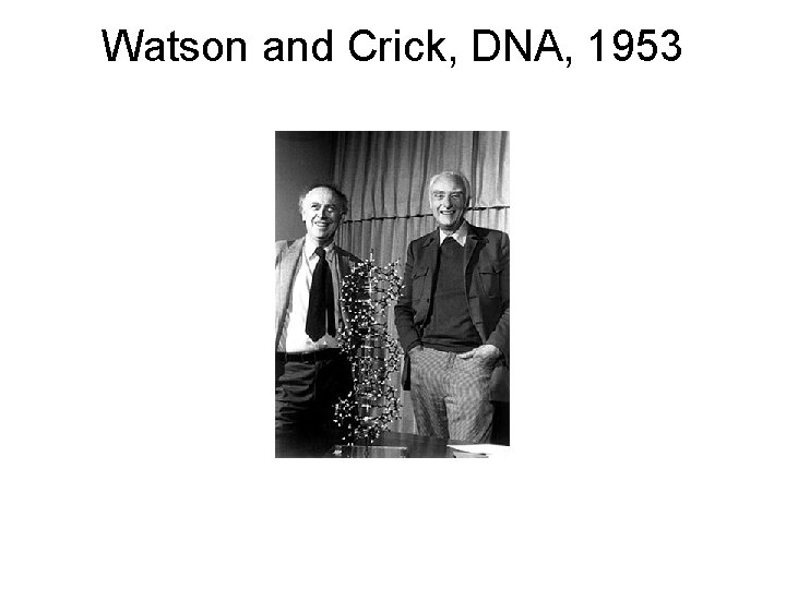 Watson and Crick, DNA, 1953 