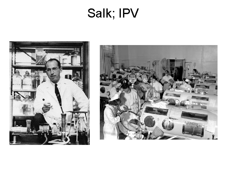 Salk; IPV 