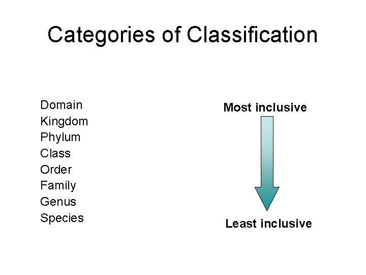 Categories of Classification Domain Kingdom Phylum Class Order Family Genus Species Most inclusive Least