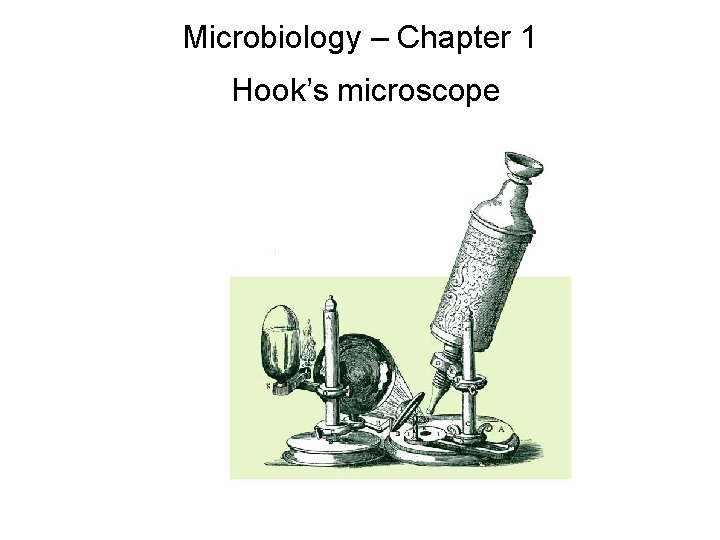 Microbiology – Chapter 1 Hook’s microscope 