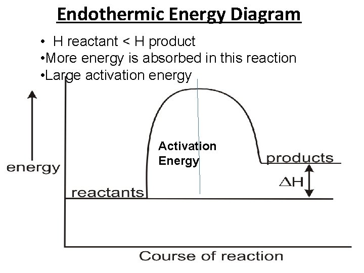 Endothermic Energy Diagram • H reactant < H product • More energy is absorbed