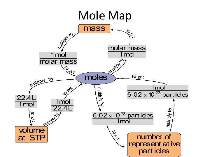 Mole Map 