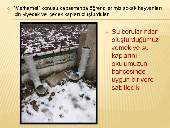 v “Merhamet” konusu kapsamında öğrencilerimiz sokak hayvanları için yiyecek ve içecek kapları oluşturdular. Ø