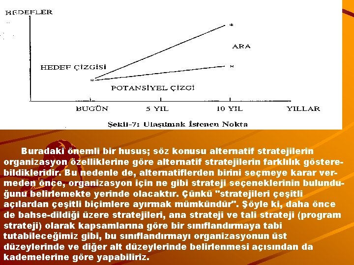 Buradaki önemli bir husus; söz konusu alternatif stratejilerin organizasyon özelliklerine göre alternatif stratejilerin farklılık