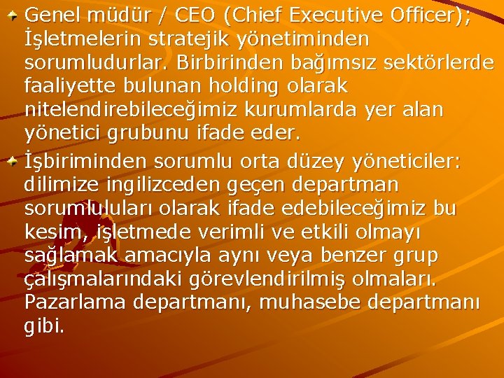 Genel müdür / CEO (Chief Executive Officer); İşletmelerin stratejik yönetiminden sorumludurlar. Birbirinden bağımsız sektörlerde