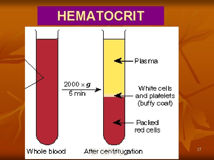 HEMATOCRIT NOMAD: 2005: BP: INTROVERVIEW 17 