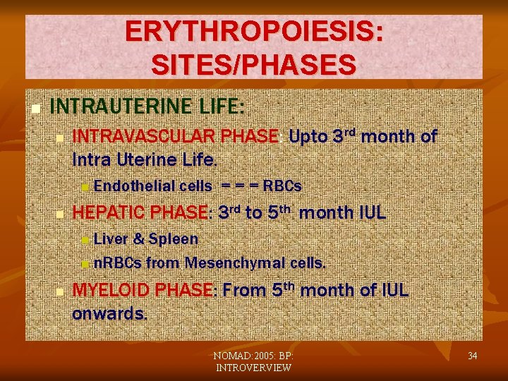 ERYTHROPOIESIS: SITES/PHASES n INTRAUTERINE LIFE: n INTRAVASCULAR PHASE: Upto 3 rd month of Intra