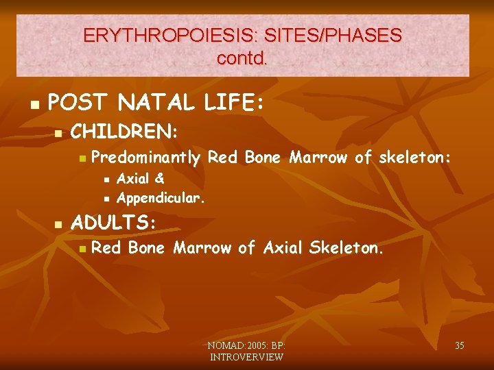 ERYTHROPOIESIS: SITES/PHASES contd. n POST NATAL LIFE: n CHILDREN: n Predominantly Red Bone Marrow