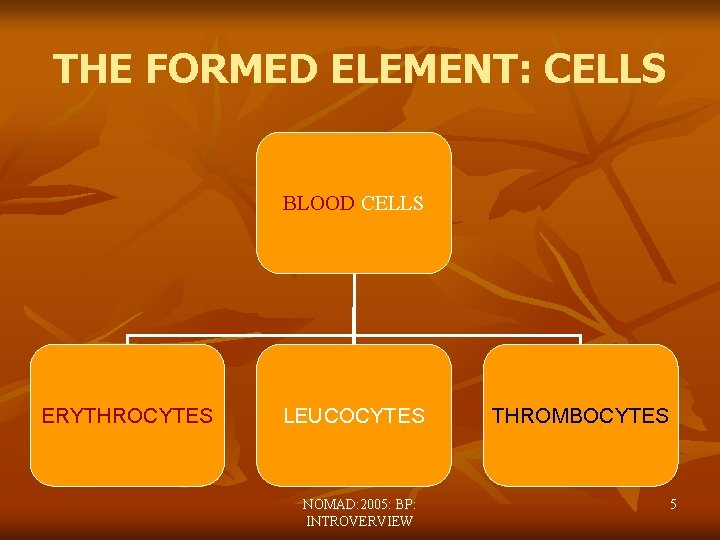 THE FORMED ELEMENT: CELLS BLOOD CELLS ERYTHROCYTES LEUCOCYTES NOMAD: 2005: BP: INTROVERVIEW THROMBOCYTES 5