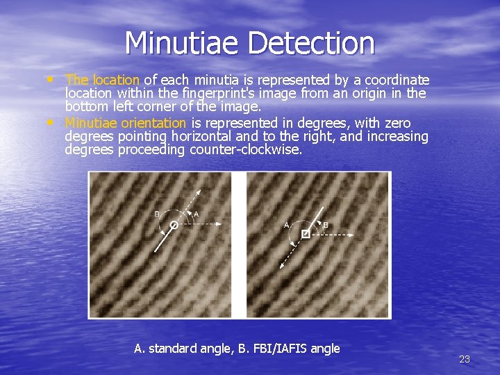 Minutiae Detection • The location of each minutia is represented by a coordinate •
