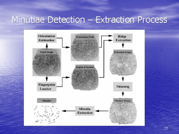 Minutiae Detection – Extraction Process 25 