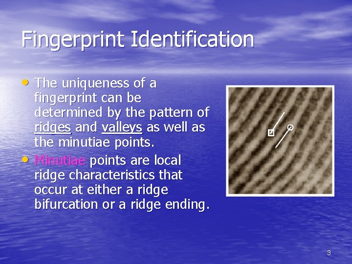 Fingerprint Identification • The uniqueness of a • fingerprint can be determined by the