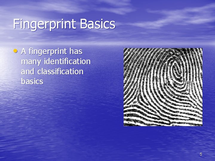 Fingerprint Basics • A fingerprint has many identification and classification basics 5 