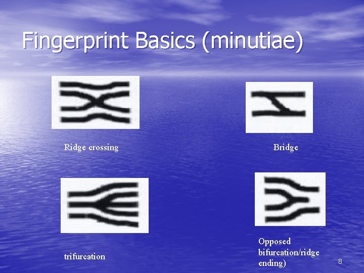 Fingerprint Basics (minutiae) Ridge crossing trifurcation Bridge Opposed bifurcation/ridge ending) 8 