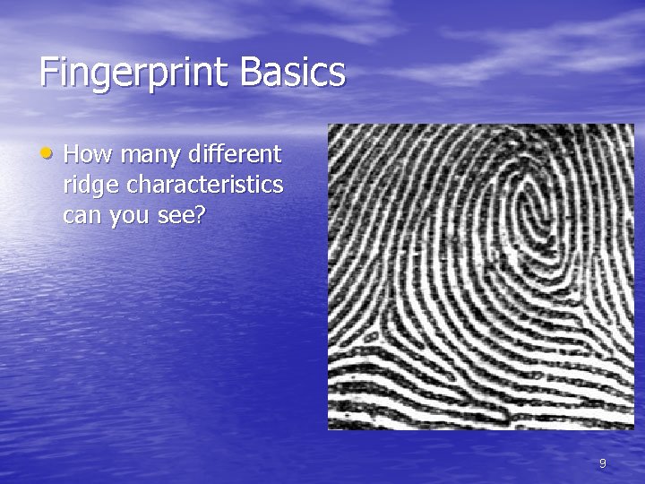 Fingerprint Basics • How many different ridge characteristics can you see? 9 