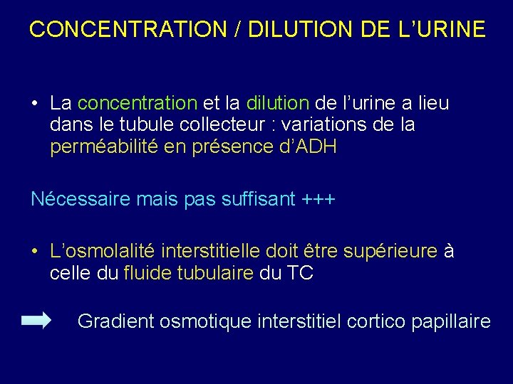 CONCENTRATION / DILUTION DE L’URINE • La concentration et la dilution de l’urine a