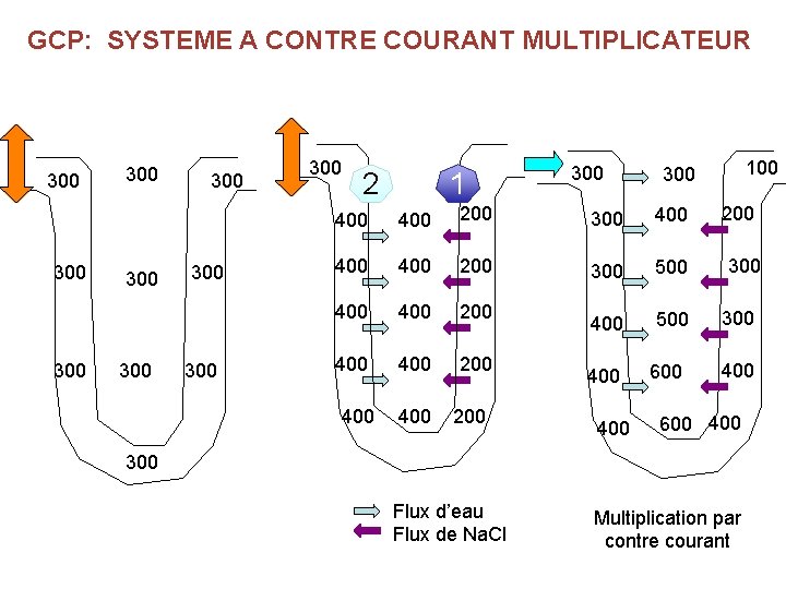 GCP: SYSTEME A CONTRE COURANT MULTIPLICATEUR 300 300 300 2 1 300 400 200