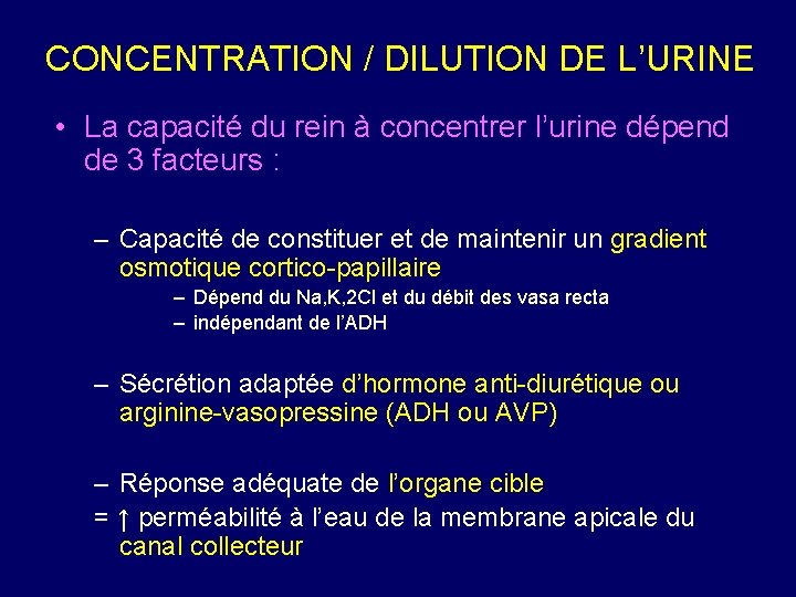 CONCENTRATION / DILUTION DE L’URINE • La capacité du rein à concentrer l’urine dépend