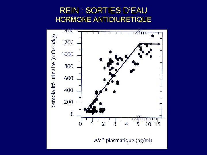 REIN : SORTIES D’EAU HORMONE ANTIDIURETIQUE 