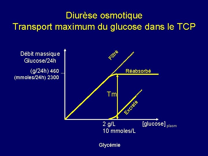 Fi ltr Débit massique Glucose/24 h é Diurèse osmotique Transport maximum du glucose dans