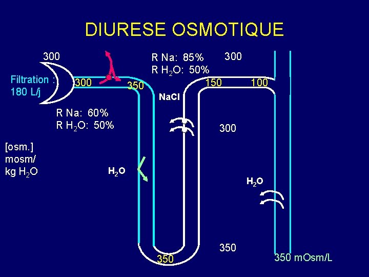 DIURESE OSMOTIQUE 300 Filtration : 180 L/j 300 R Na: 85% R H 2