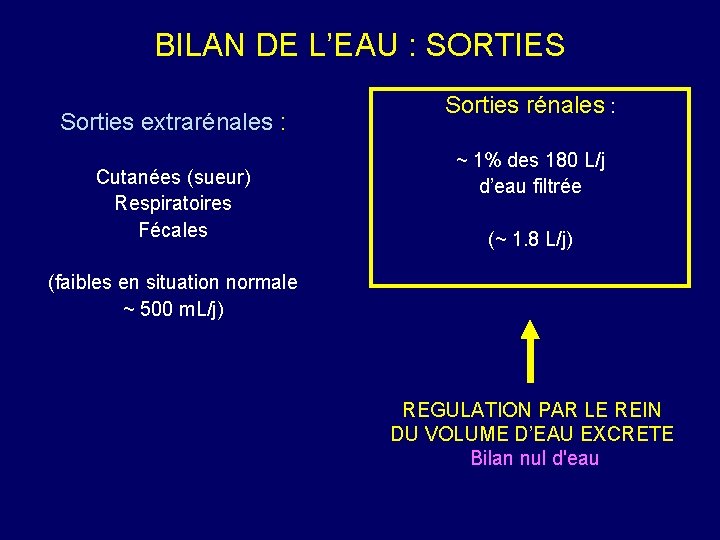 BILAN DE L’EAU : SORTIES Sorties extrarénales : Cutanées (sueur) Respiratoires Fécales Sorties rénales
