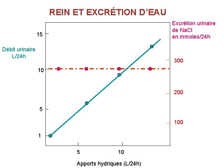 REIN ET EXCRÉTION D’EAU Excrétion urinaire de Na. Cl en mmoles/24 h 15 Débit