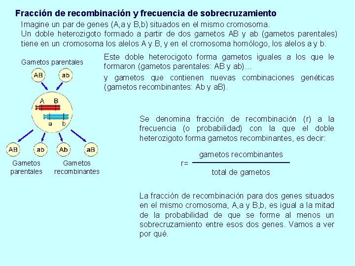 Fracción de recombinación y frecuencia de sobrecruzamiento Imagine un par de genes (A, a