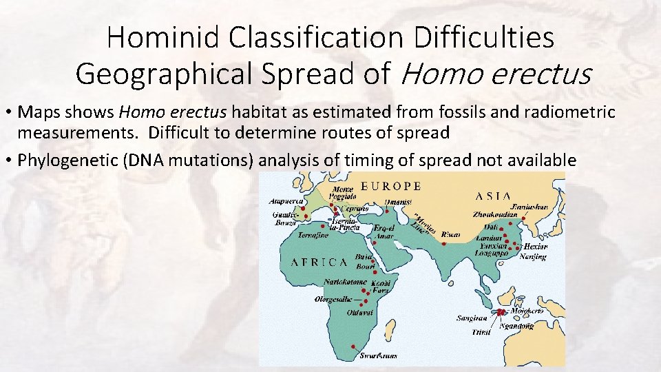 Hominid Classification Difficulties Geographical Spread of Homo erectus • Maps shows Homo erectus habitat