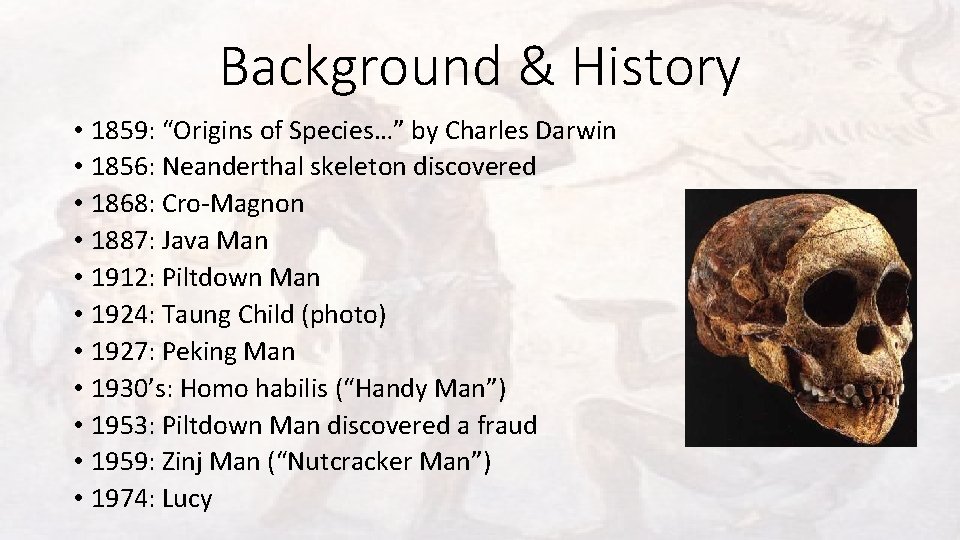 Background & History • 1859: “Origins of Species…” by Charles Darwin • 1856: Neanderthal