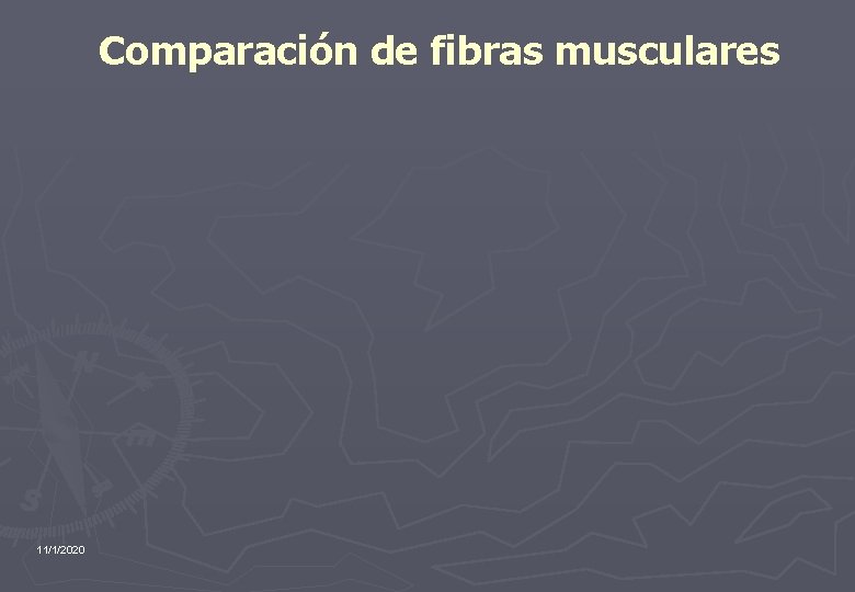 Comparación de fibras musculares 11/1/2020 
