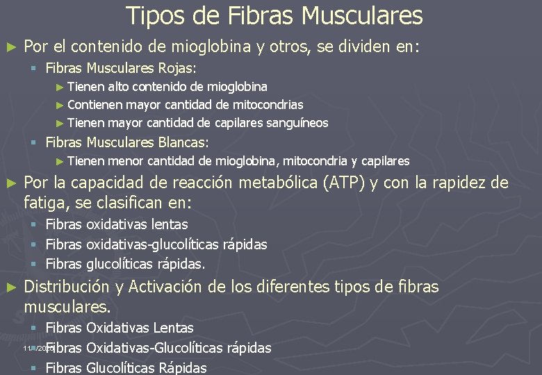 Tipos de Fibras Musculares ► Por el contenido de mioglobina y otros, se dividen