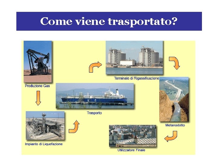 Come viene trasportato? 