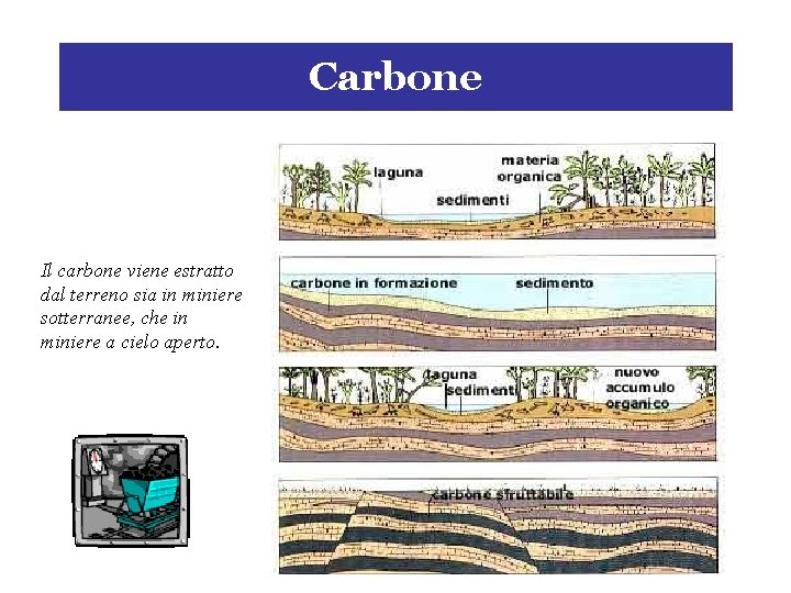 Carbone Il carbone viene estratto dal terreno sia in miniere sotterranee, che in miniere