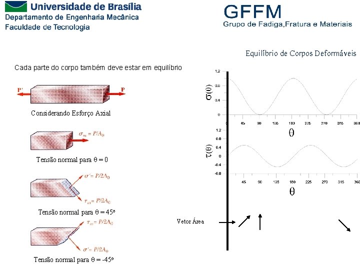 Equilíbrio de Corpos Deformáveis Cada parte do corpo também deve estar em equilíbrio Considerando