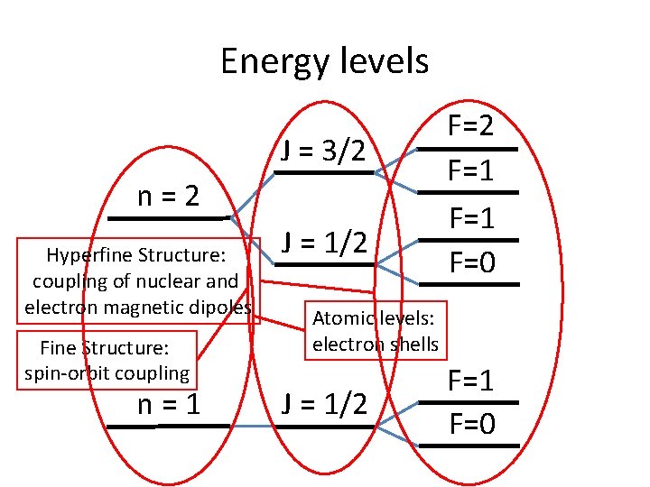 Energy levels J = 3/2 n=2 Hyperfine Structure: coupling of nuclear and electron magnetic