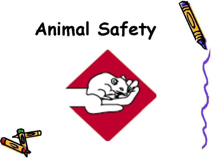 Animal Safety 