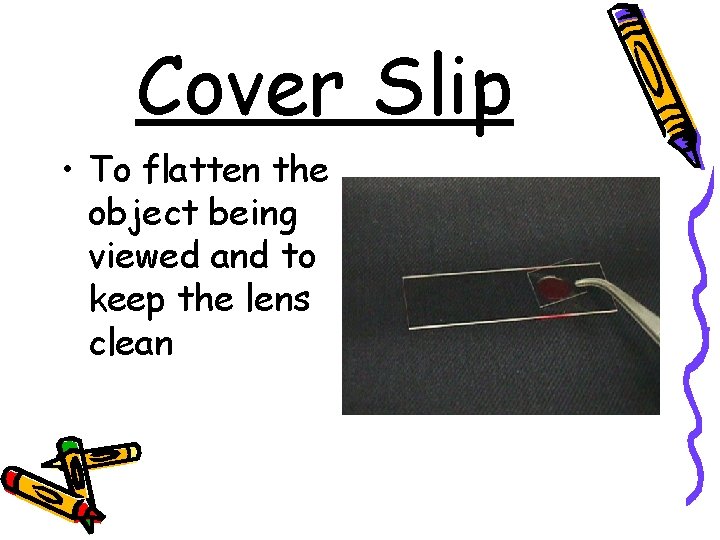 Cover Slip • To flatten the object being viewed and to keep the lens