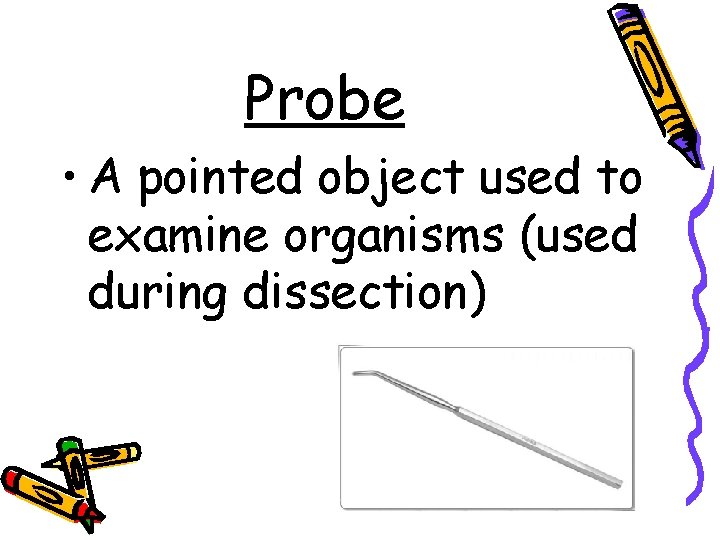 Probe • A pointed object used to examine organisms (used during dissection) 