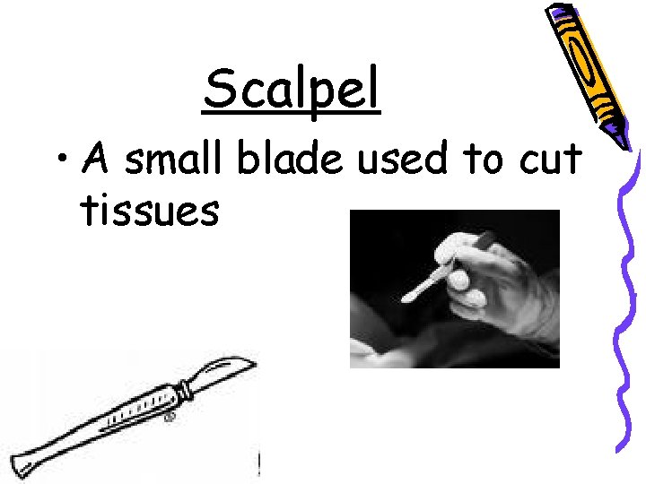 Scalpel • A small blade used to cut tissues 