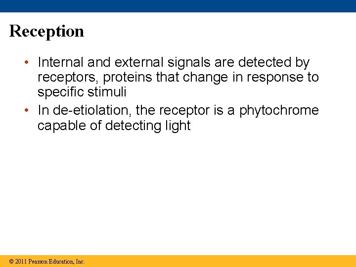 Reception • Internal and external signals are detected by receptors, proteins that change in