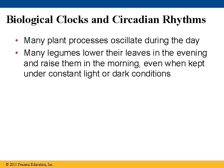 Biological Clocks and Circadian Rhythms • Many plant processes oscillate during the day •