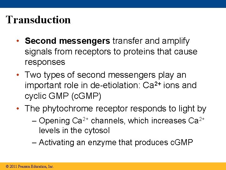Transduction • Second messengers transfer and amplify signals from receptors to proteins that cause