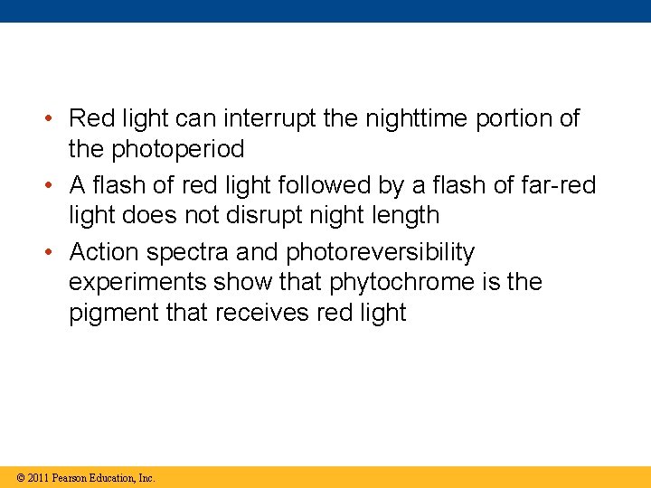  • Red light can interrupt the nighttime portion of the photoperiod • A