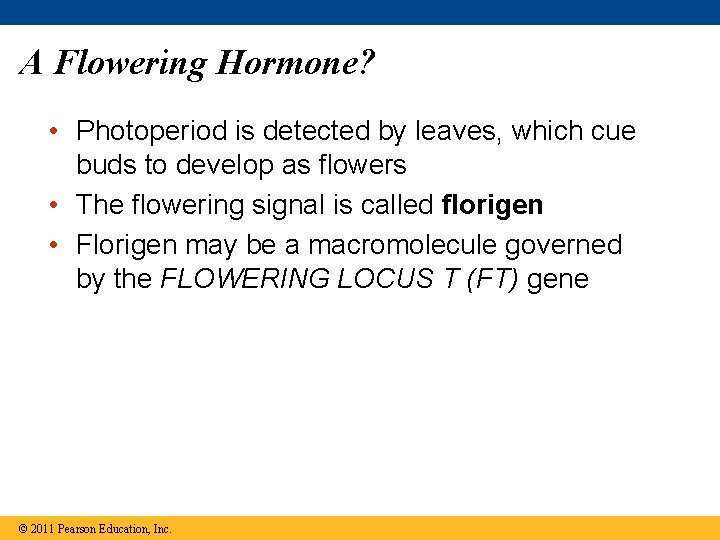 A Flowering Hormone? • Photoperiod is detected by leaves, which cue buds to develop