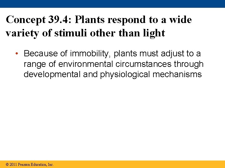 Concept 39. 4: Plants respond to a wide variety of stimuli other than light