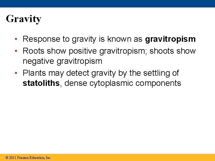 Gravity • Response to gravity is known as gravitropism • Roots show positive gravitropism;