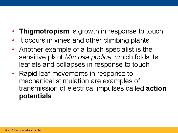  • Thigmotropism is growth in response to touch • It occurs in vines