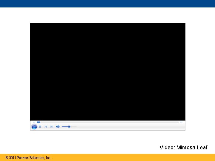 Video: Mimosa Leaf © 2011 Pearson Education, Inc. 