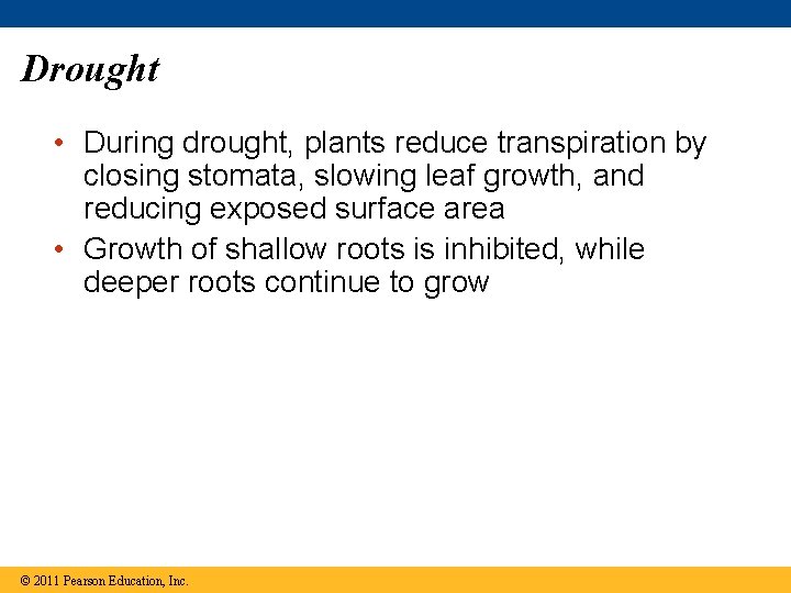 Drought • During drought, plants reduce transpiration by closing stomata, slowing leaf growth, and